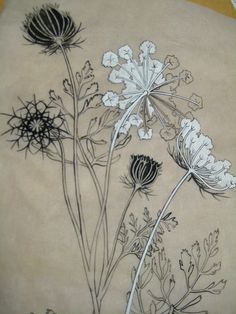 aaff175ad4afbd3c5dd601d351d0af46--lace-drawing-floral-drawing.jpg